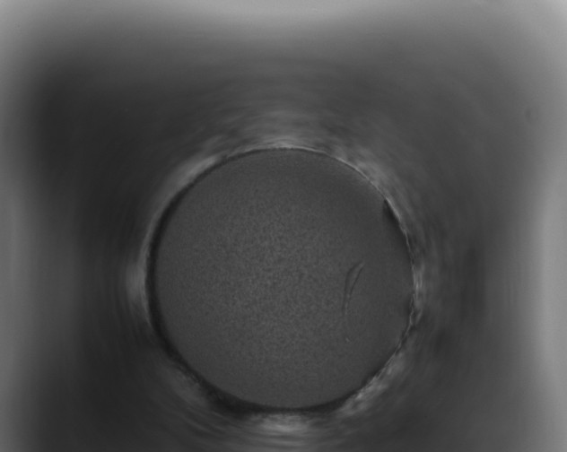 X0000088400104200705291437