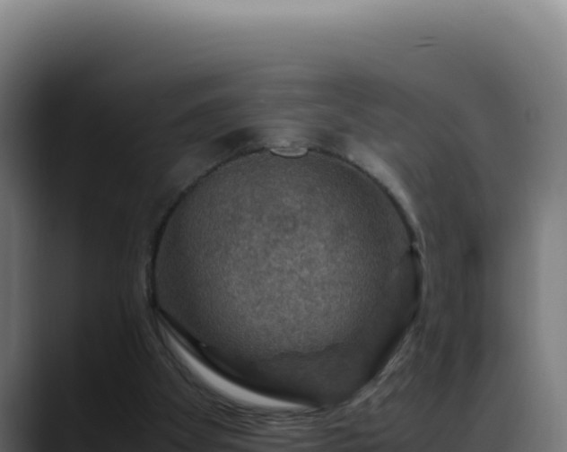 X0000088400105200705291437