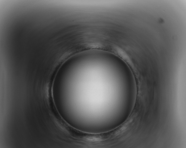 X0000088400106200705291437