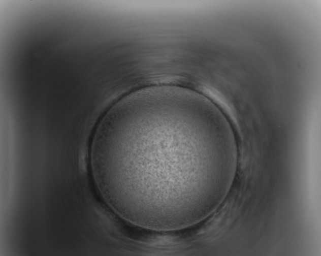 X0000088400107200705291437