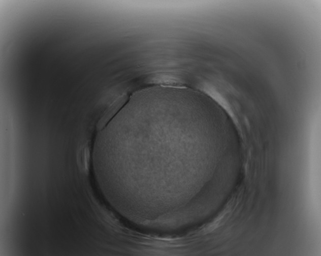 X0000088400109200705291437