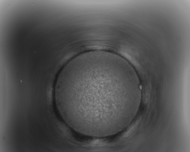 X0000088400111200705291437