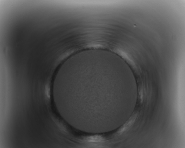 X0000088400112200705291437