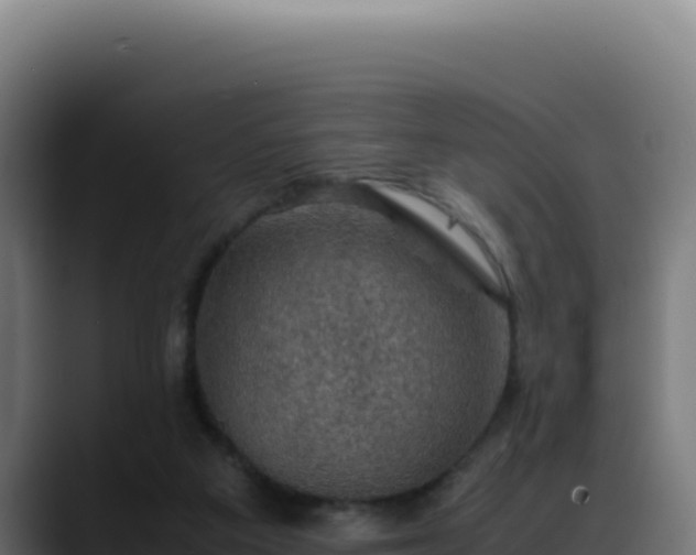 X0000088400113200705291437