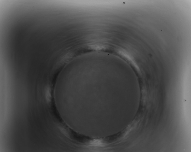 X0000088400114200705291436