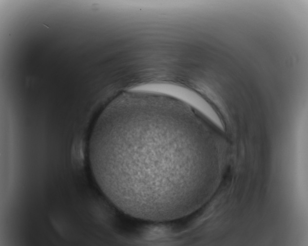 X0000088400115200705291436