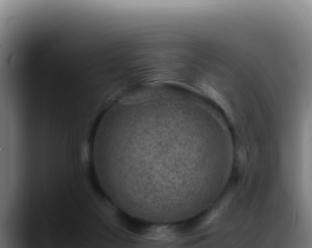 X0000088400117200705291436