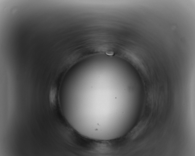 X0000088400118200705291436