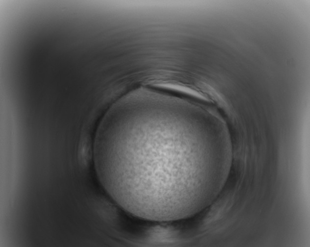 X0000088400119200705291436