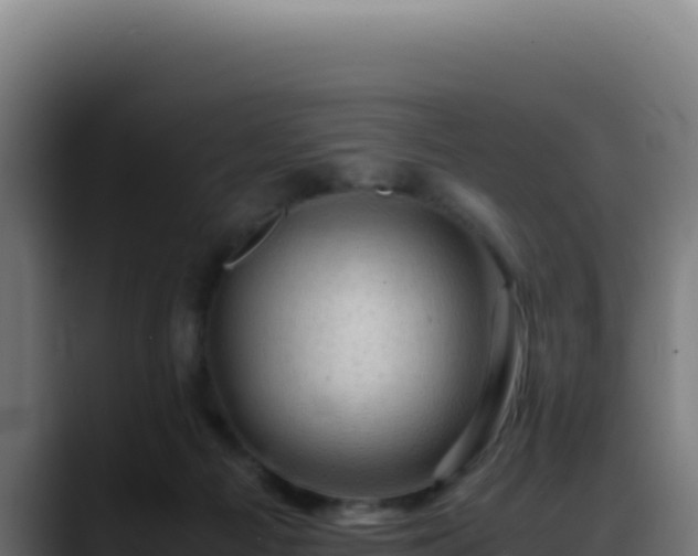 X0000088400121200705291436