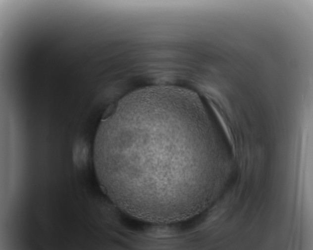 X0000088400123200705291436