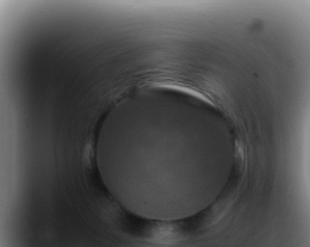 X0000088400127200705291436