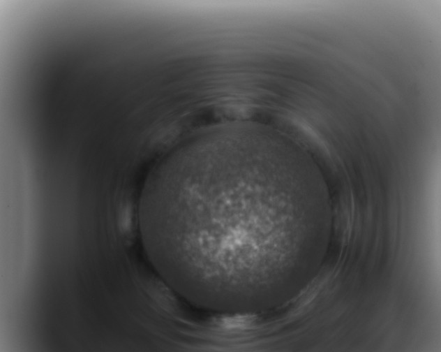 X0000088400134200705291436