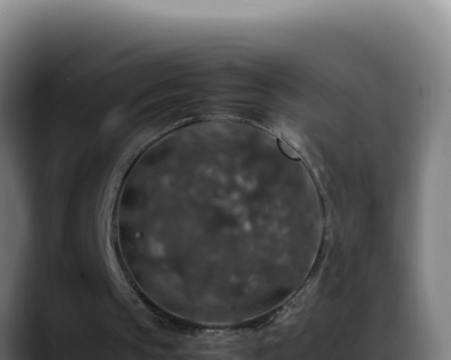 X0000088400145200705291435