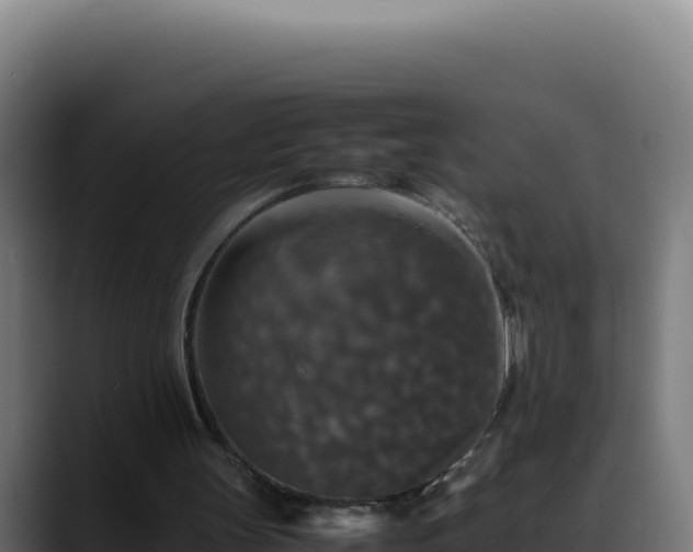 X0000088400147200705291436