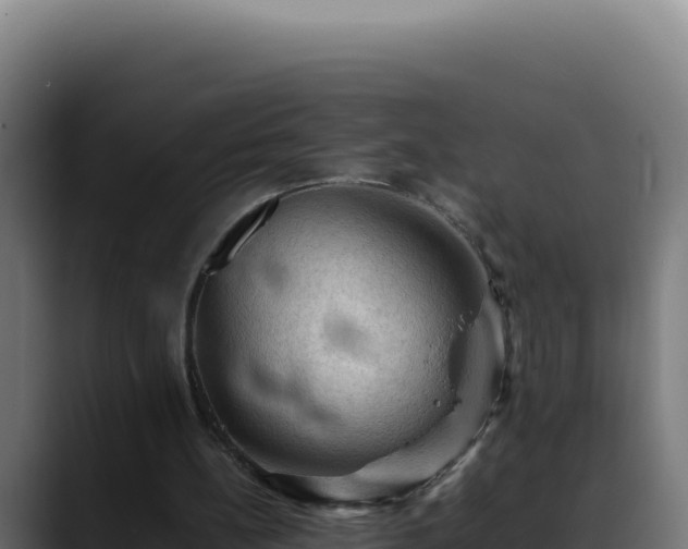 X0000088400148200705291436