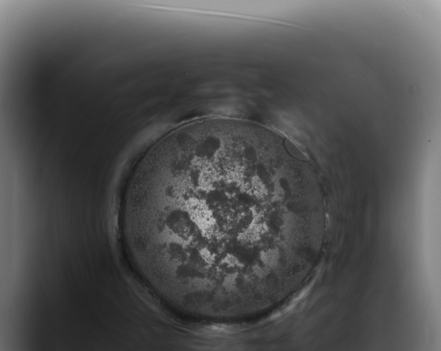 X0000088400149200705291436