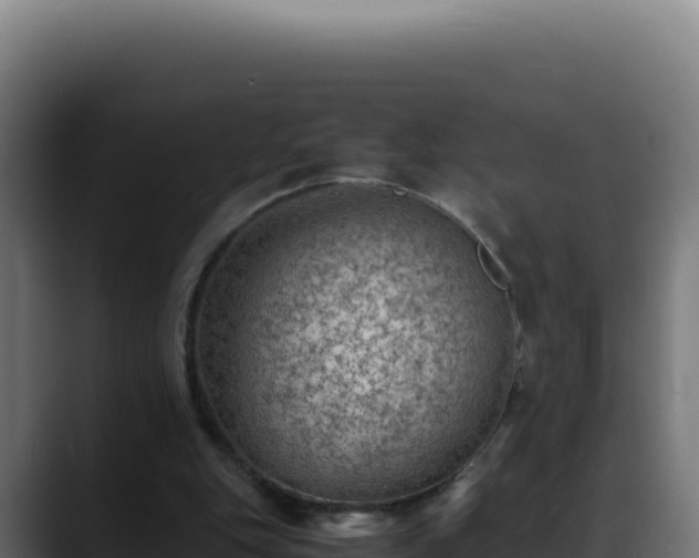 X0000088400151200705291436