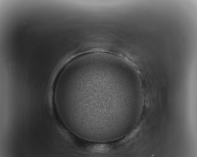 X0000088400152200705291436