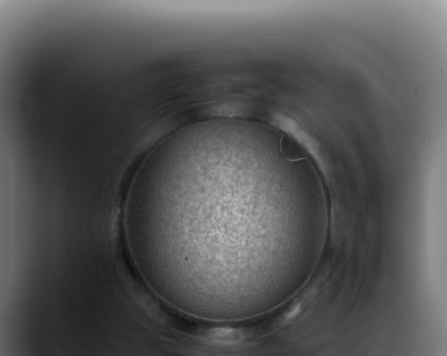 X0000088400153200705291436