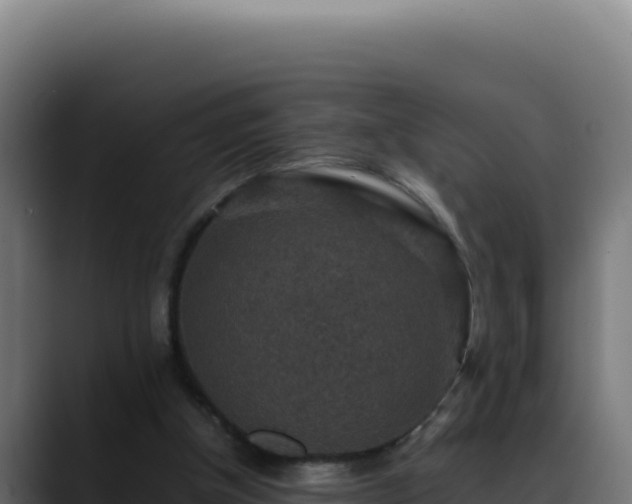 X0000088400154200705291436