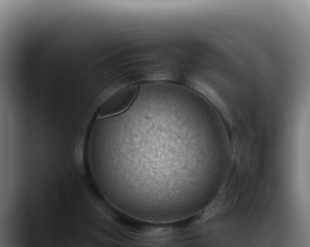 X0000088400155200705291436