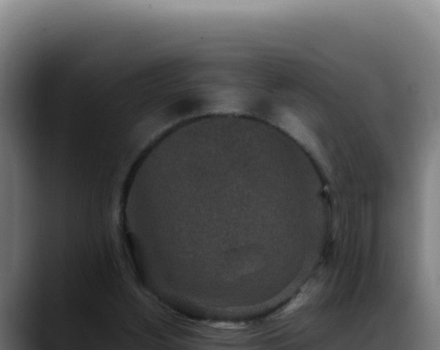 X0000088400156200705291436