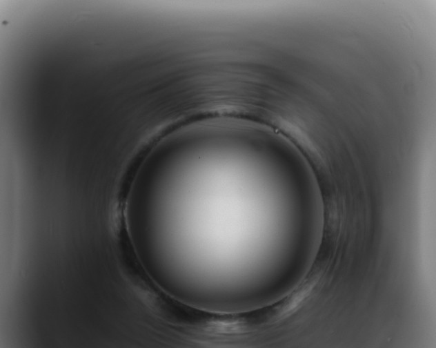 X0000088400160200705291436