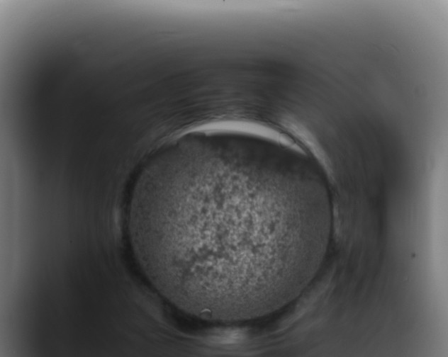 X0000088400161200705291436