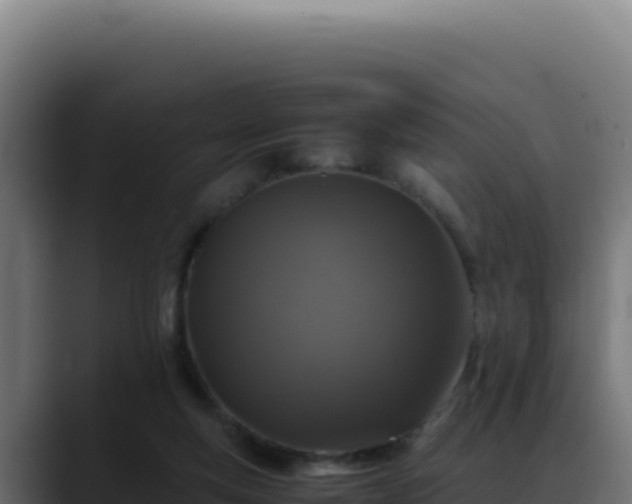 X0000088400163200705291436