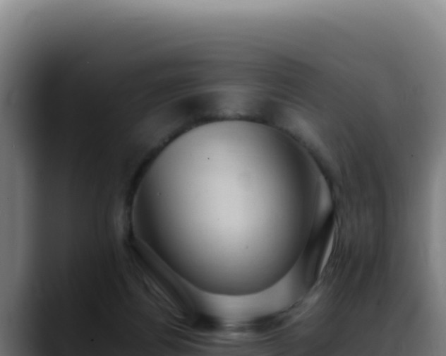 X0000088400164200705291436