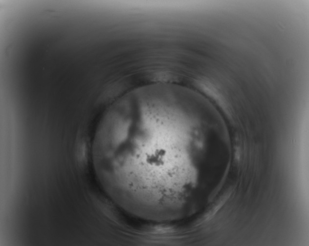 X0000088400165200705291436