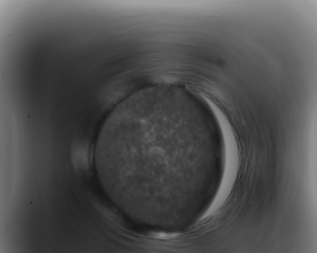 X0000088400168200705291436