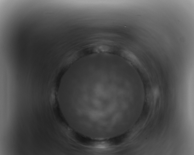 X0000088400169200705291436