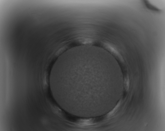 X0000088400170200705291436