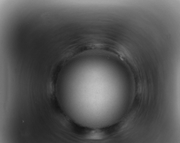 X0000088400173200705291436