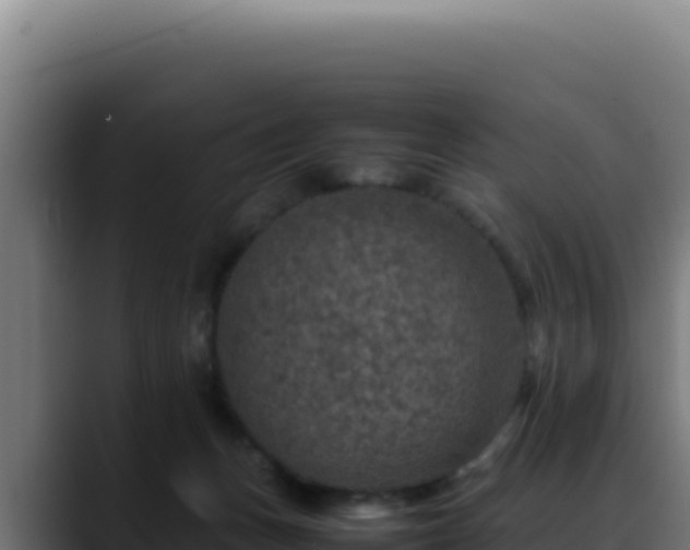 X0000088400175200705291436