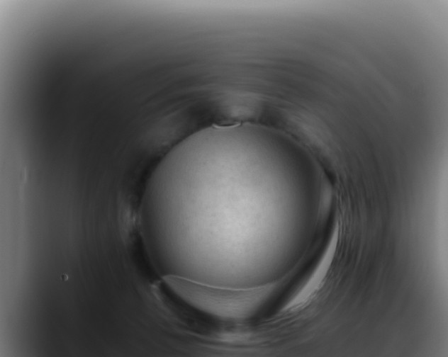 X0000088400176200705291436