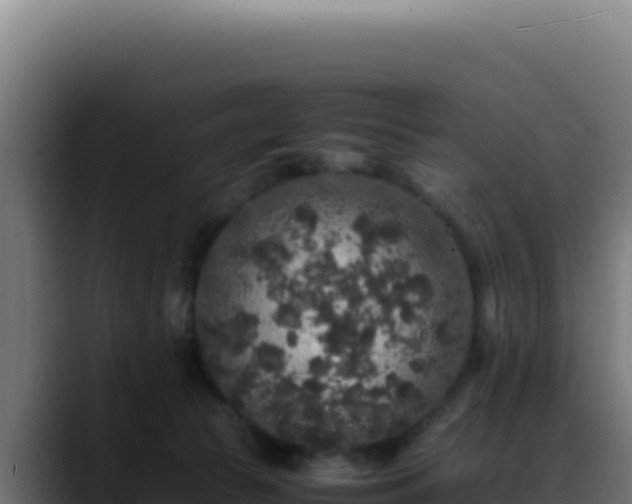 X0000088400177200705291436