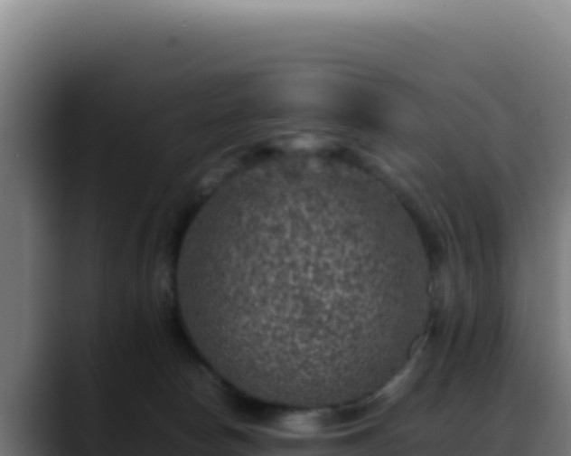 X0000088400178200705291436