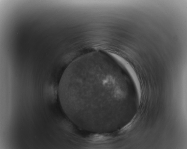 X0000088400180200705291436