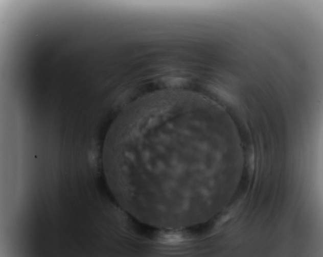 X0000088400181200705291436