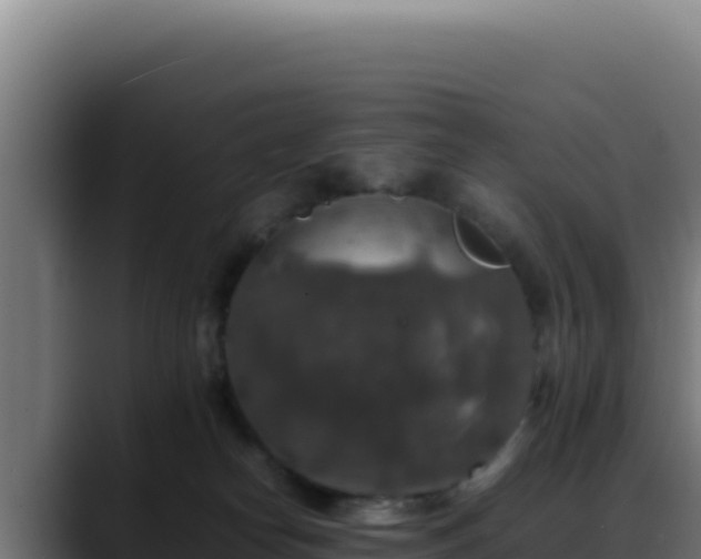 X0000088400182200705291436