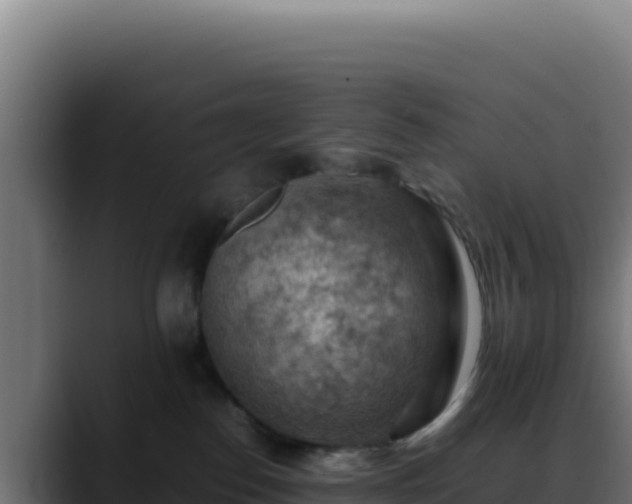 X0000088400186200705291436