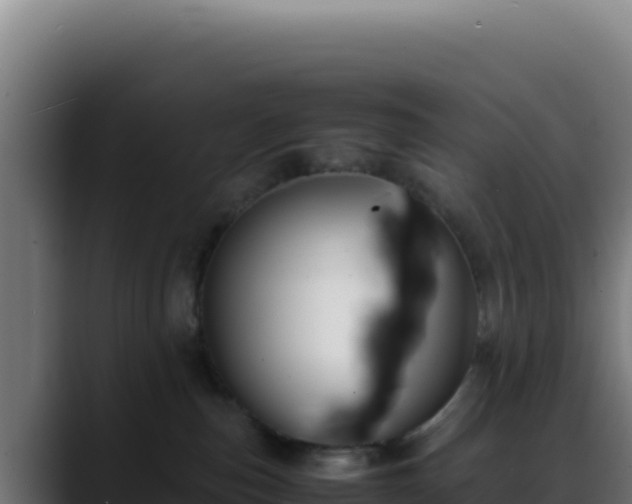 X0000088400187200705291436