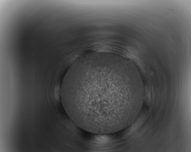 X0000088400189200705291436