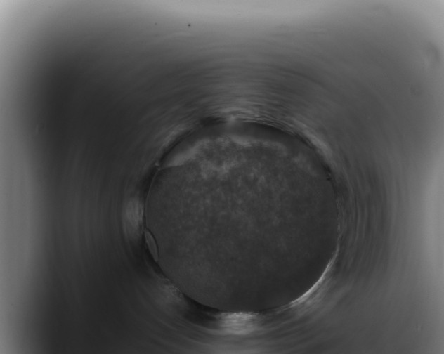 X0000088400192200705291436