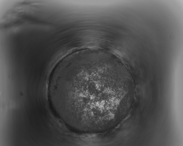 X0000088400194200705291435