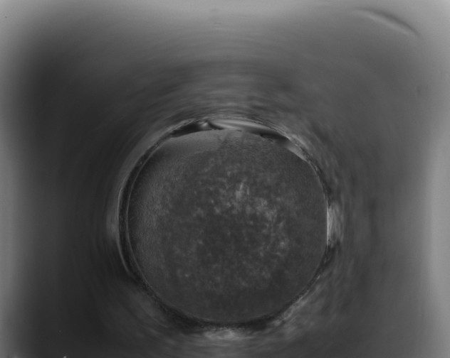 X0000088400195200705291435