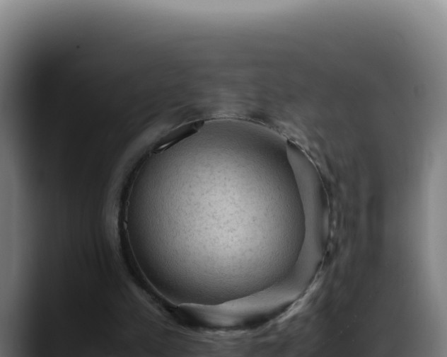 X0000088400197200705291435